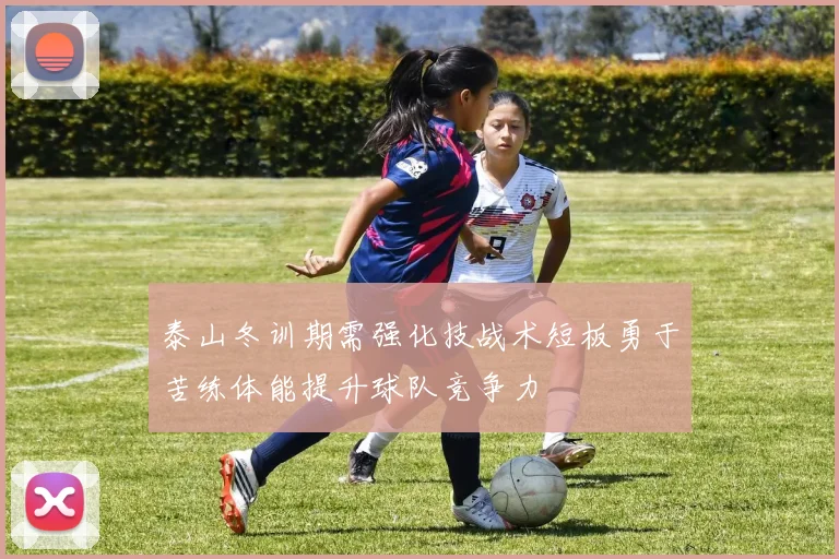 泰山冬训期需强化技战术短板勇于苦练体能提升球队竞争力